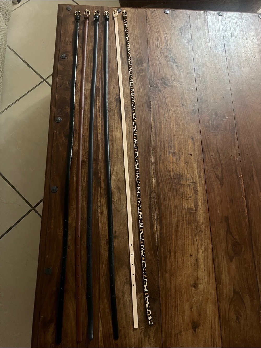 Set of Six Mixed Belts Black, Brown, Cream, Leopard Print, Blue and shiny black